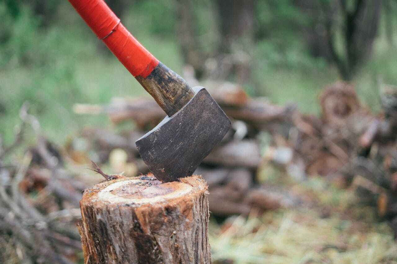 Residential Tree Removal in Oxford, MI